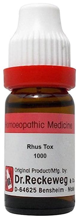 Dr. Reckeweg Rhus Tox Dilution 1000 CH 11ml